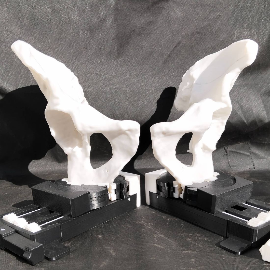 Modelo anatómico 3D de pelvis — Hefestech